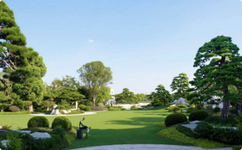 风景